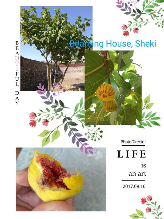 ホテル Beaming_House Şǝki エクステリア 写真